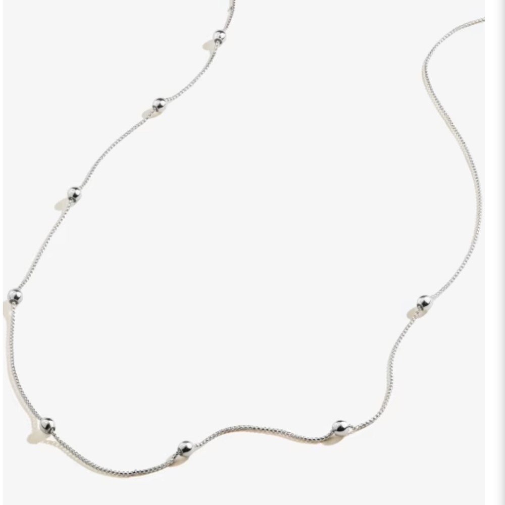 Alex and and Ani Charm Station Necklace 38”